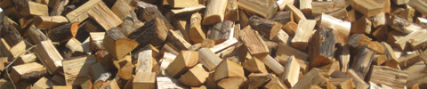 Firewood Petersfield Clanfield Horndean Bordon Whitehill Liss Selborne Alton Rogate Sheet Steep Buriton Harting Froxfield